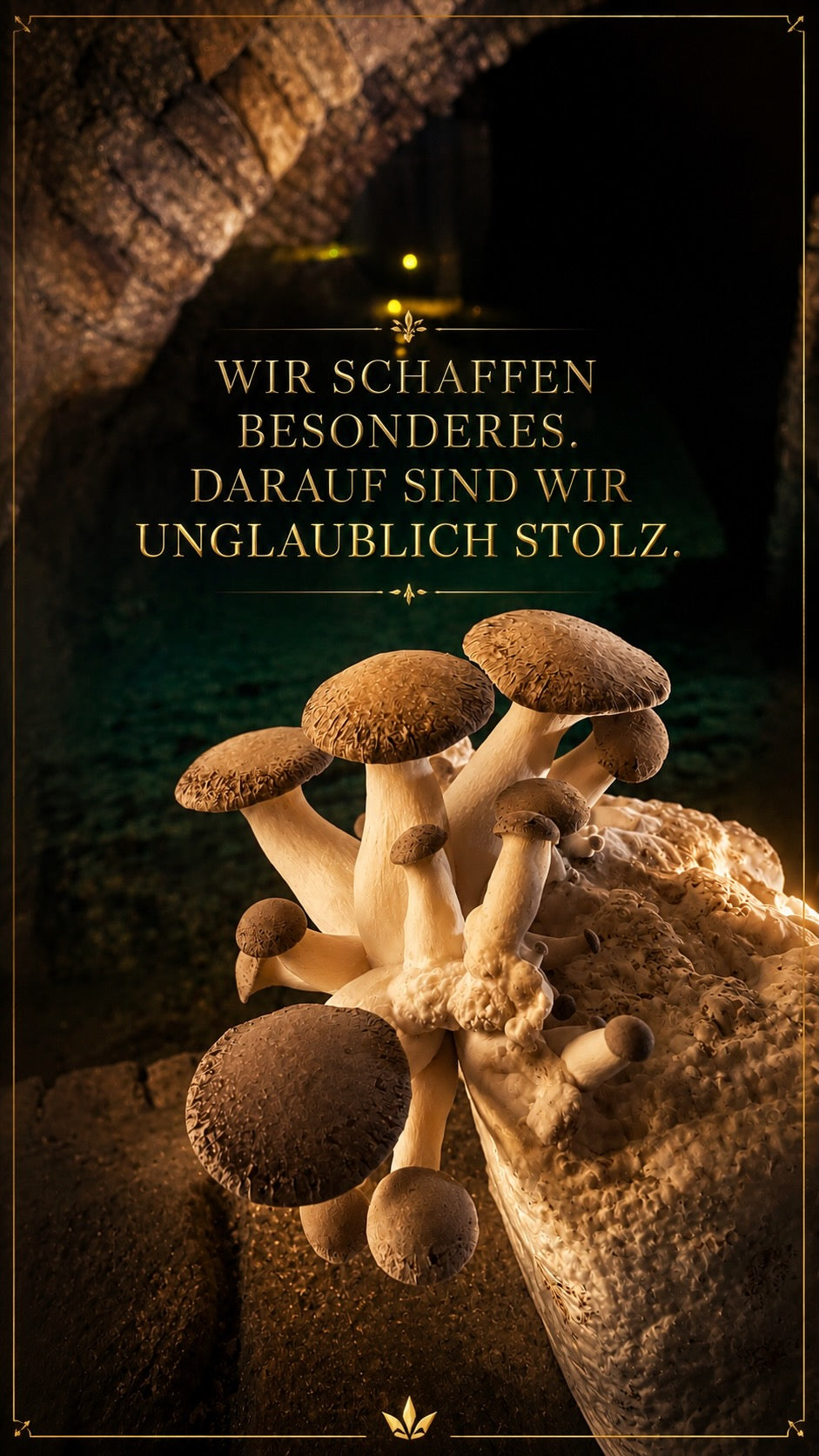 Bio Gourmet Kräuterseitlinge (King Oyster Mushrooms) - 1kg
