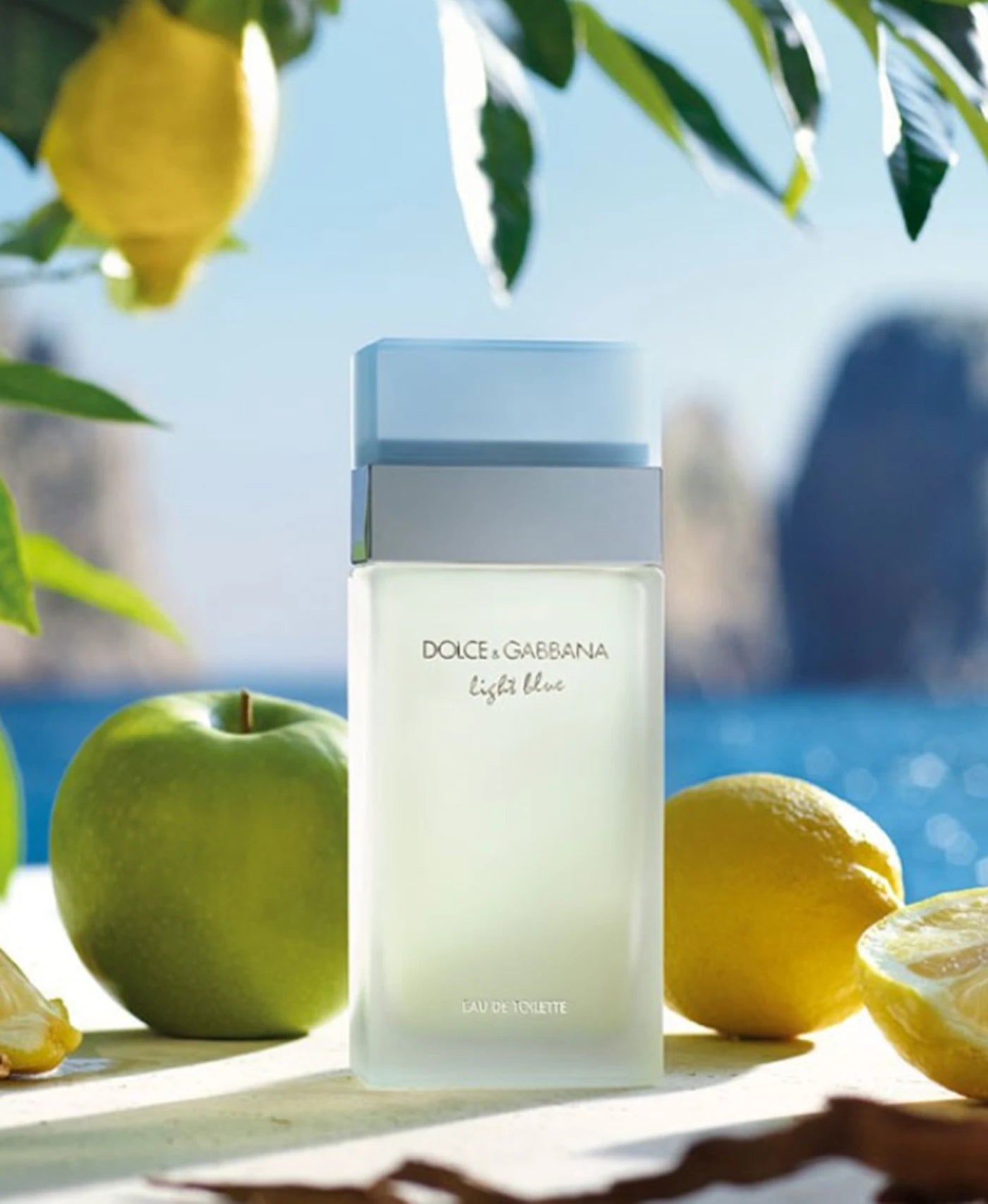 Dolce & Gabbana Light Blue für Damen Eau de Toilette 50 ml