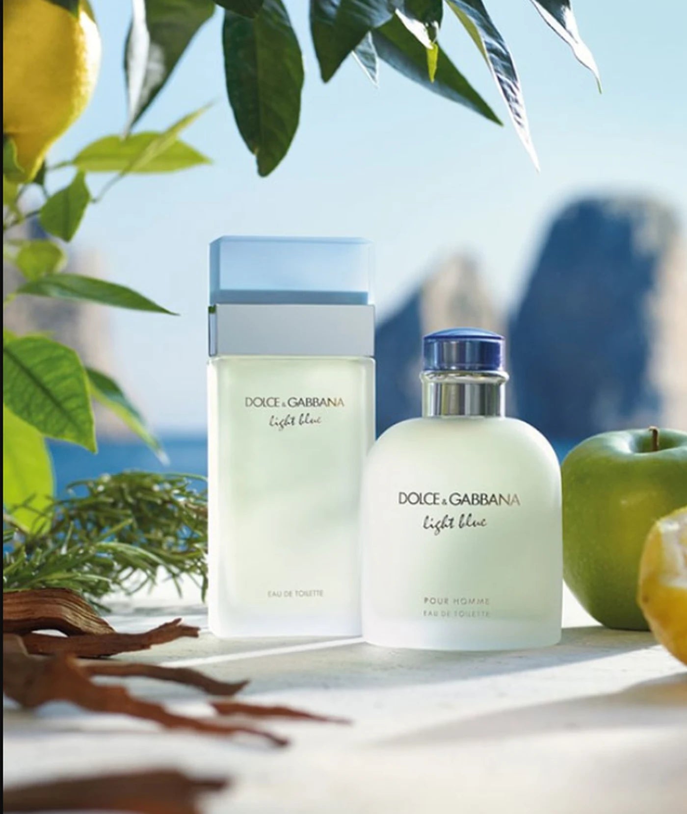 Dolce & Gabbana Light Blue für Damen Eau de Toilette 50 ml
